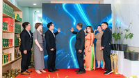 Số hóa việc quản lý, truy xuất nguồn gốc, giao dịch và đầu tư sâm Ngọc Linh