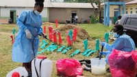 Prancis melaporkan kasus Ebola pertamanya, dan WHO menilai risiko pandemi global.