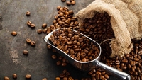 Giá cà phê hôm nay 25/6: Cao nhất 6 tuần, Robusta vượt mốc 3.700 USD