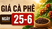 Ceny kávy 25. června: Obrátily směr a vzrostly, přičemž dosáhly maxima 88 700 VND/kg.