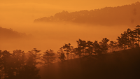 Thiên đường 'ăn biển, ngủ rừng'
