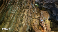 Scoperta una nuova grotta con rare formazioni di stalattiti a Phong Nha-Ke Bang.
