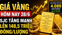 Cours de l'or aujourd'hui, 28 juin : les actions SJC, BTMC, DOJI et PNJ ont augmenté, les cours mondiaux de l'or sont restés inchangés.