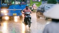 Погода на сегодня (28 июня): очень сильные дожди на севере, яркое солнце в центральном регионе.