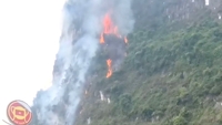 Ninh Binh: Over 200 mennesker mobiliserede sig for at slukke skovbrande og evakuere beboere fra farlige områder.