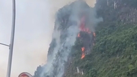 Des orages ont provoqué des incendies de forêt pendant la nuit à Ninh Binh.