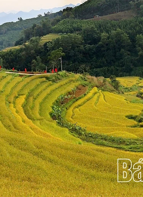 Lễ hội ruộng bậc thang Miền Đồi năm 2025