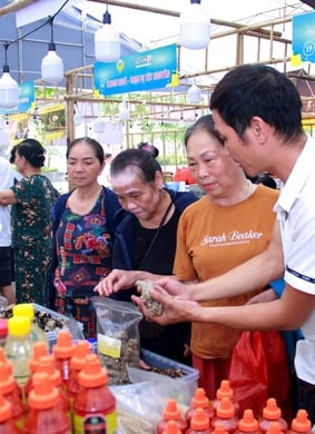 Tuần hàng tư vấn, giới thiệu và xúc tiến tiêu thụ sản phẩm OCOP