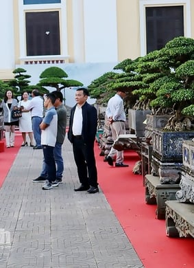 Triển lãm cây cảnh nghệ thuật cụm Hà Nam-tỉnh Ninh Bình năm 2025
