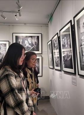 Triển lãm "Tiếp nối: Việt Nam"