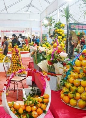 Lễ hội cam Cao Phong 2025