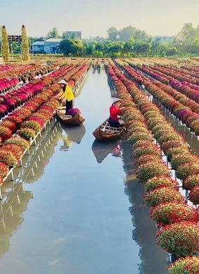 Festival Hoa-Kiểng Sa Đéc 2025