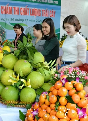 Lễ hội trái cây Bắc Ninh 2025