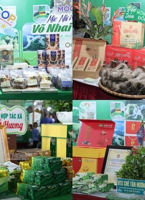 Chương trình Tuần hàng Việt tại tỉnh Thái Nguyên