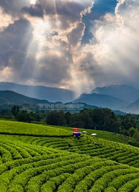 Kỷ niệm 81 năm Ngày thành lập Quân đội nhân dân Việt Nam (22/12/1944 -22/12/2025) và 36 năm Ngày hội quốc phòng toàn dân (22/12/1989 - 22/12/2025)