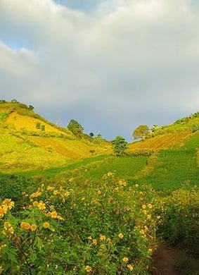 Tuần lễ Hoa Dã Quỳ - Núi lửa Chư Đang Ya