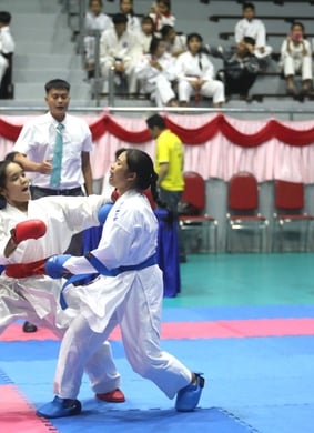 Giải Vô địch Karate