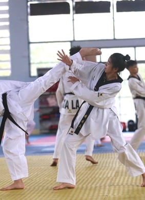 Giải Vô địch 43Taekwondo