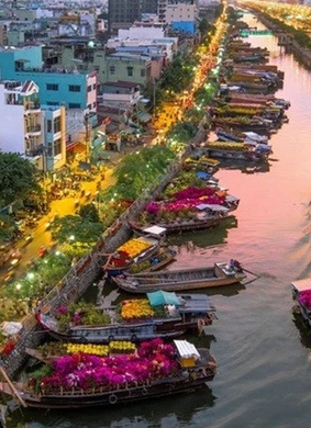 Tổ chức chợ hoa Tết Bình Đông 2026 