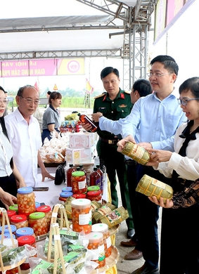 Lễ hội Văn Miếu năm 2026 