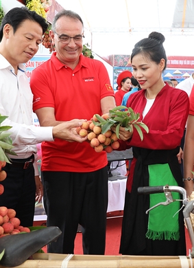 El concurso de creación de contenido "Bac Ninh Lychee - Fruta dulce que difunde la palabra"