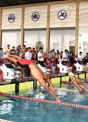 Giải Bơi - Lặn vô địch các nhóm tuổi quốc gia năm 2026 