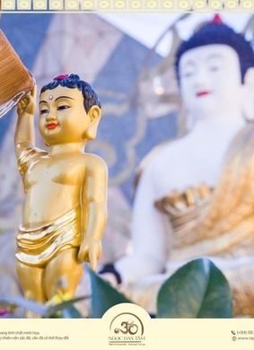 Tuần lễ Phật đản 2026