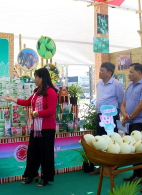  Lễ hội Trái cây Đồng Tháp lần thứ I năm 2026