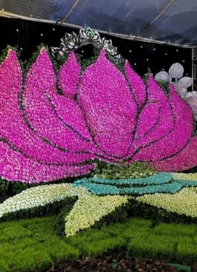 ハノイ蓮祭り2026