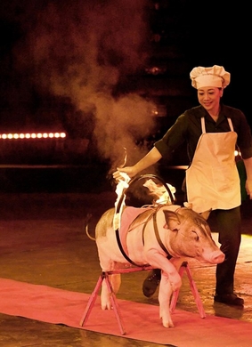 Gala del Festival de Payasos y del Circo de Animales