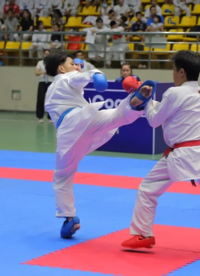 Competiciones de kárate y taekwondo en el Festival Deportivo Provincial de Bac Ninh y Campeonatos por Categorías de Edad.