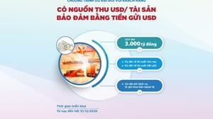 Agribank triển khai Chương trình ưu đãi đối với khách hàng có nguồn thu USD / tài sản bảo đảm bằng tiền gửi USD