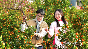 Thể lệ Cuộc thi ảnh và video "Tết Hạnh phúc"