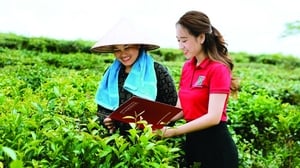 Agribank hiện thực hóa chiến lược ESG, lan tỏa giá trị phát triển bền vững