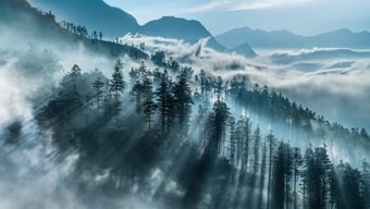 A beleza cativante de Sa Pa na temporada de "caça às nuvens".