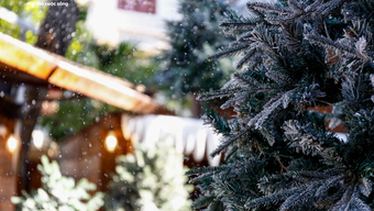 Hanoi coffee shop turns into Europe, sprays artificial snow, attracts customers