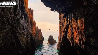 Vẻ đẹp hoang sơ và câu chuyện kỳ bí của mũi Vi Rồng tại Bình Định