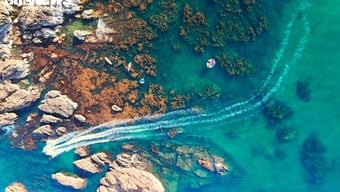Mê mẩn kỳ quan san hô mùa nước cạn tại vùng biển Gia Lai, Đắk Lắk