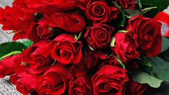 O Dia dos Namorados coincide com o 27º dia do Ano Novo Lunar: floriculturas reclamam de "apenas 1/10 das vendas do ano passado, com pouquíssimos clientes comprando presentes".