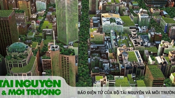 Mảng xanh còn bỏ ngỏ