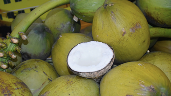 Báo động thế mạnh ‘tỷ đô’: Hàng bán hết qua Trung Quốc, DN phải đóng cửa nhà máy