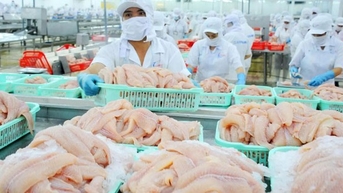 Phó Thủ tướng Lê Minh Khái giao Bộ Tài chính, Bộ NNPTNT tháo gỡ khó khăn cho doanh nghiệp thủy sản