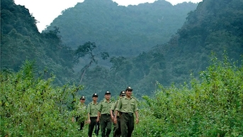 Rừng Cúc Phương: Di Sản Xanh Cần Được Bảo Vệ Trước Tác Động Của Khí Hậu