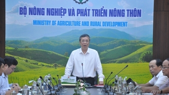 ចិន​ហៀបនឹង​ចុះ​ពិនិត្យ​តំបន់​ដាំ​ដូង​ស្រស់​របស់​វៀតណាម​សម្រាប់​ការ​នាំ​ចេញ។