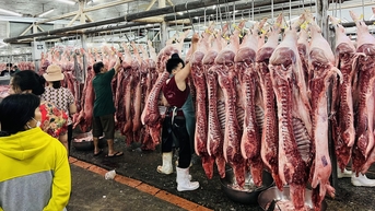 ឥន្ទ្រី​ច្រើន​វិនិយោគ ហេតុអ្វី​កសិករ​វៀតណាម​នៅតែ​ពិបាក​ចិញ្ចឹម​សត្វ?