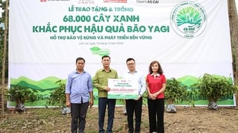 SeABank và Tập đoàn BRG trồng 68.000 cây phủ xanh gần 20ha rừng tại Lào Cai