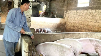 Nông dân thi đua sản xuất kinh doanh giỏi