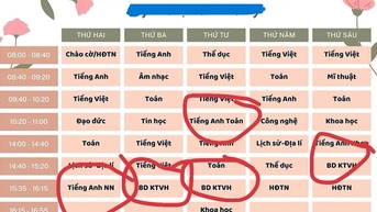 Dạy học tự nguyện, liên kết ngày càng tinh vi