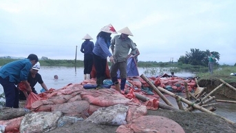 Bảo vệ đê điều là bảo vệ tính mạng, tài sản người dân