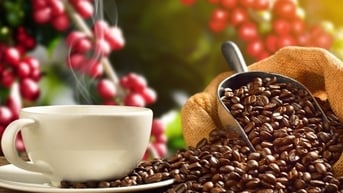 Lượng tồn kho giảm kéo giá cà phê xuất khẩu trở lại đà tăng cao nhất